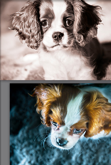 fotografie nebel auge