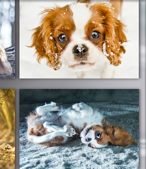 fotografie schmuck stein