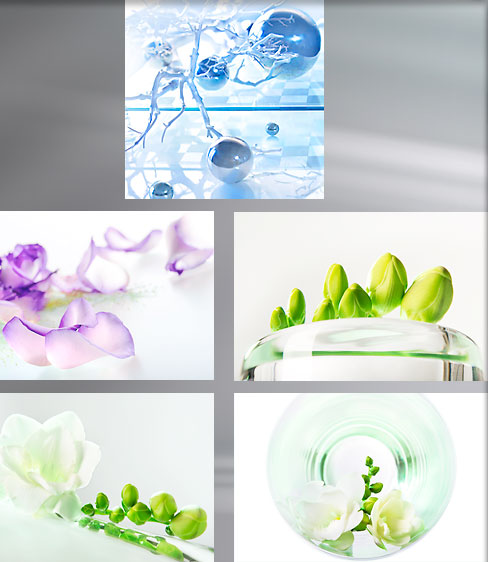 werbefotografie graz blumen