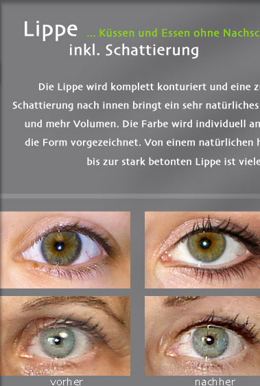 permanentmakeup microblading graz augenbrauen lidstrich