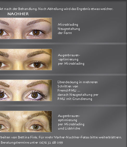 permanent make up microblading augenbrauen graz